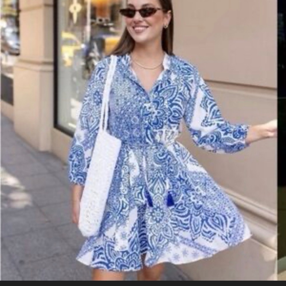 Zara Blue and White Floral Long Sleeve Dress